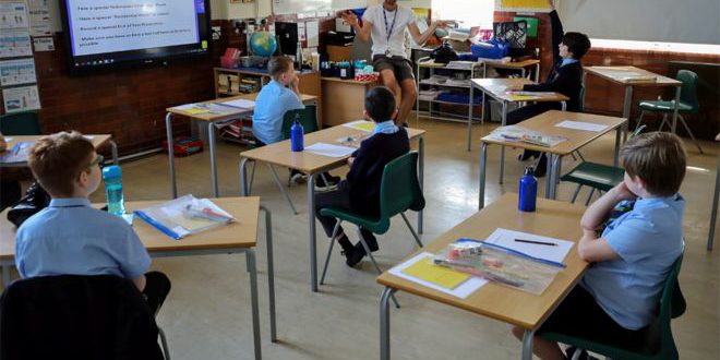 _113871456_school_reu